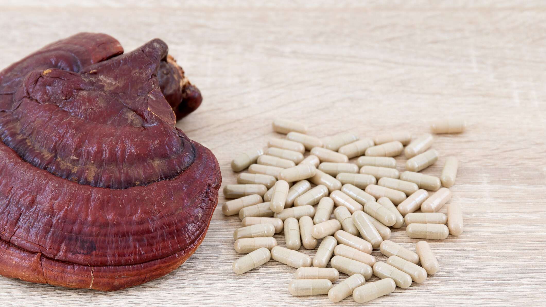 compounds.mushrooms.name